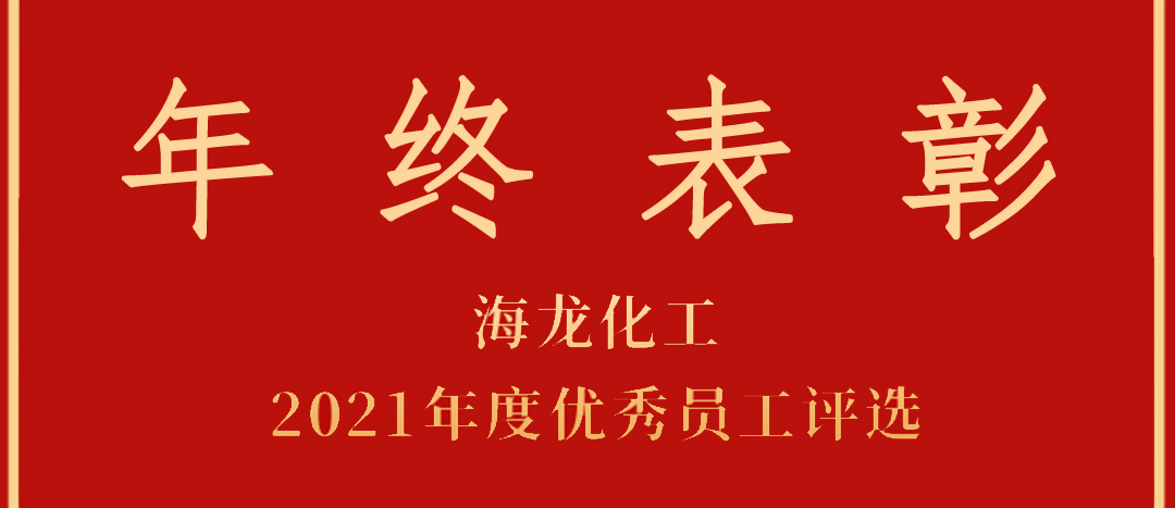 <strong>表彰！海龍化工2021年度優(yōu)秀員工優(yōu)秀部門評選</strong>